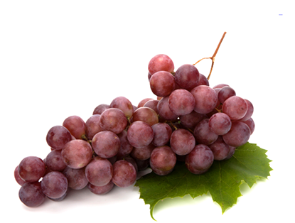 Grape Red Globe - Empresa Agricola San Juan S.A